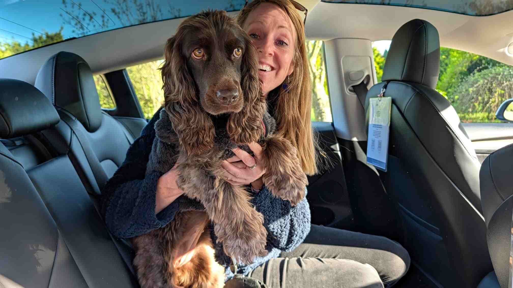 Dog and passenger enjoying a comfortable pet-friendly private hire journey inside a Tesla Model 3 in North Wales.